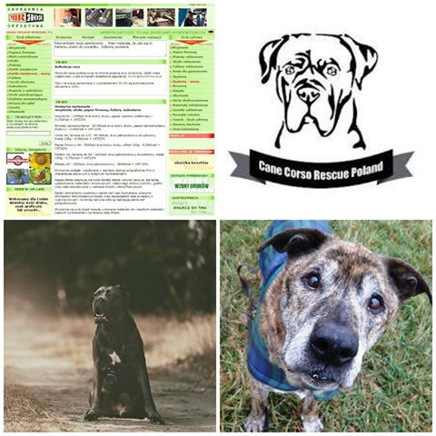 Podziękowania dla Drukarni MIRROR w Kiełpino Górne /Gdańsk <3